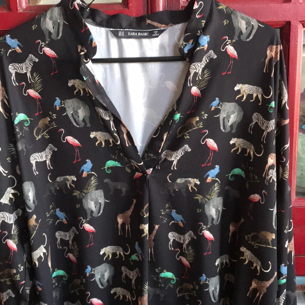 Zara Basics Shirt